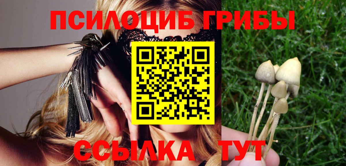 Псилоцибиновые грибы MAGIC MUSHROOMS Сертолово